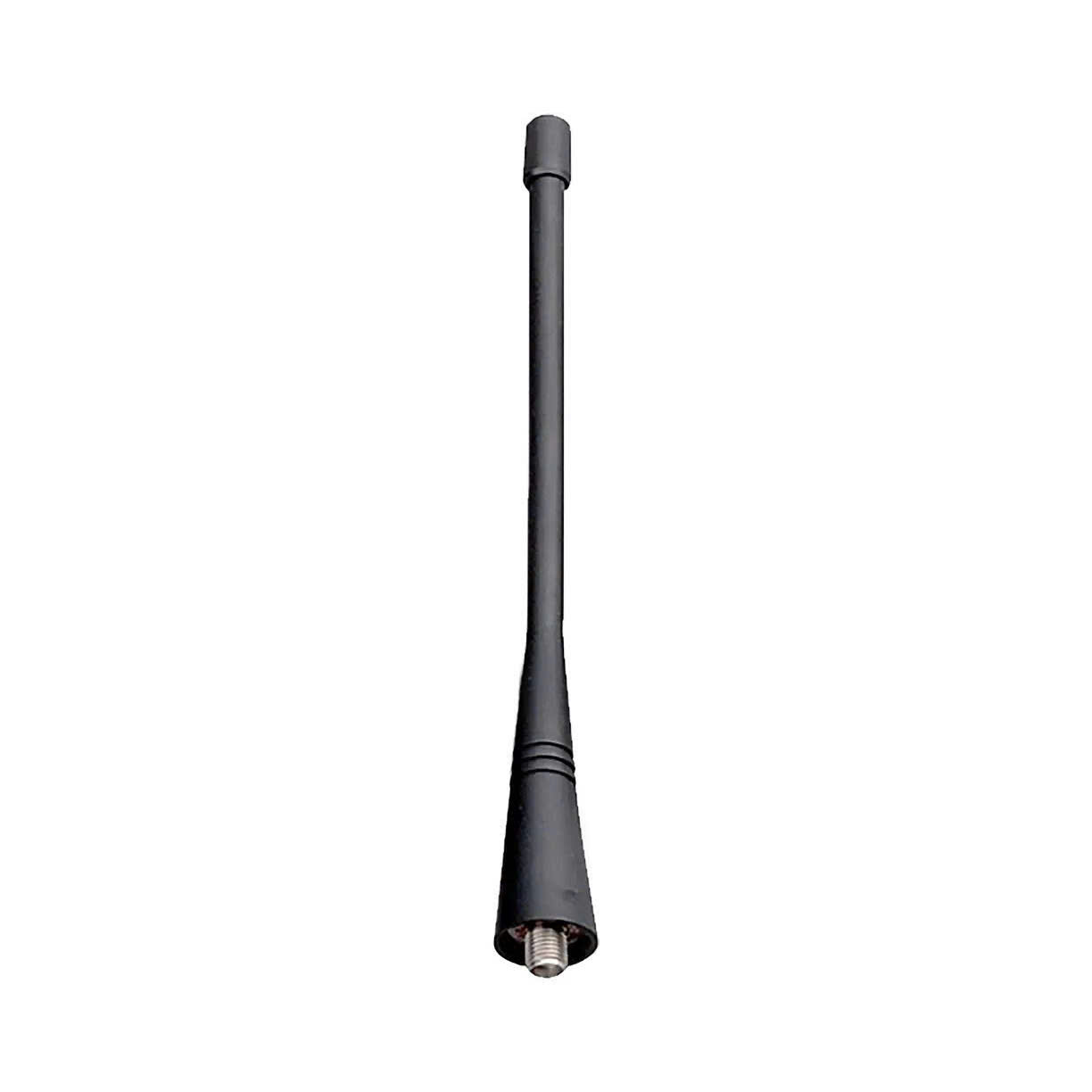 AN0460W19
